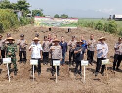 Dukung Program Nasional, Polresta Pati Optimalkan Dukungan Polri terhadap Swasembada Pangan 2025