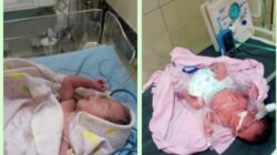 Pimpinan Redaksi Media Online PartTimeNews.id Sampaikan Ucapan Selamat atas Kelahiran Anak Kembar Wartawannya